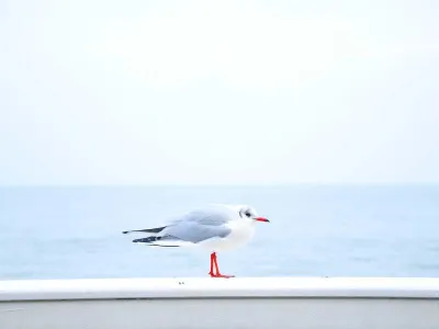 Common area